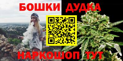 гашик Камышлов