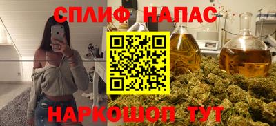 гашик Камышлов