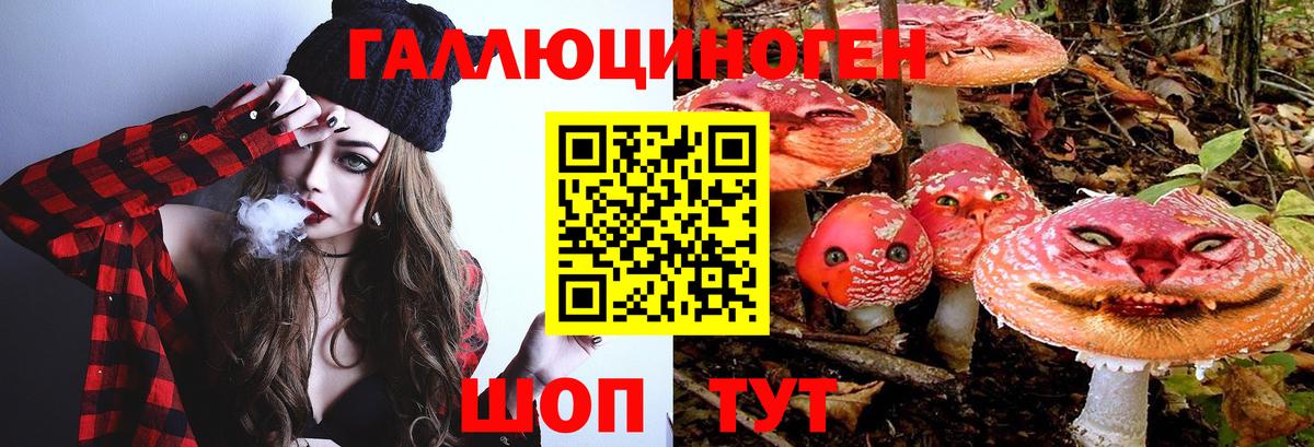Галлюциногенные грибы Psilocybe Дубна